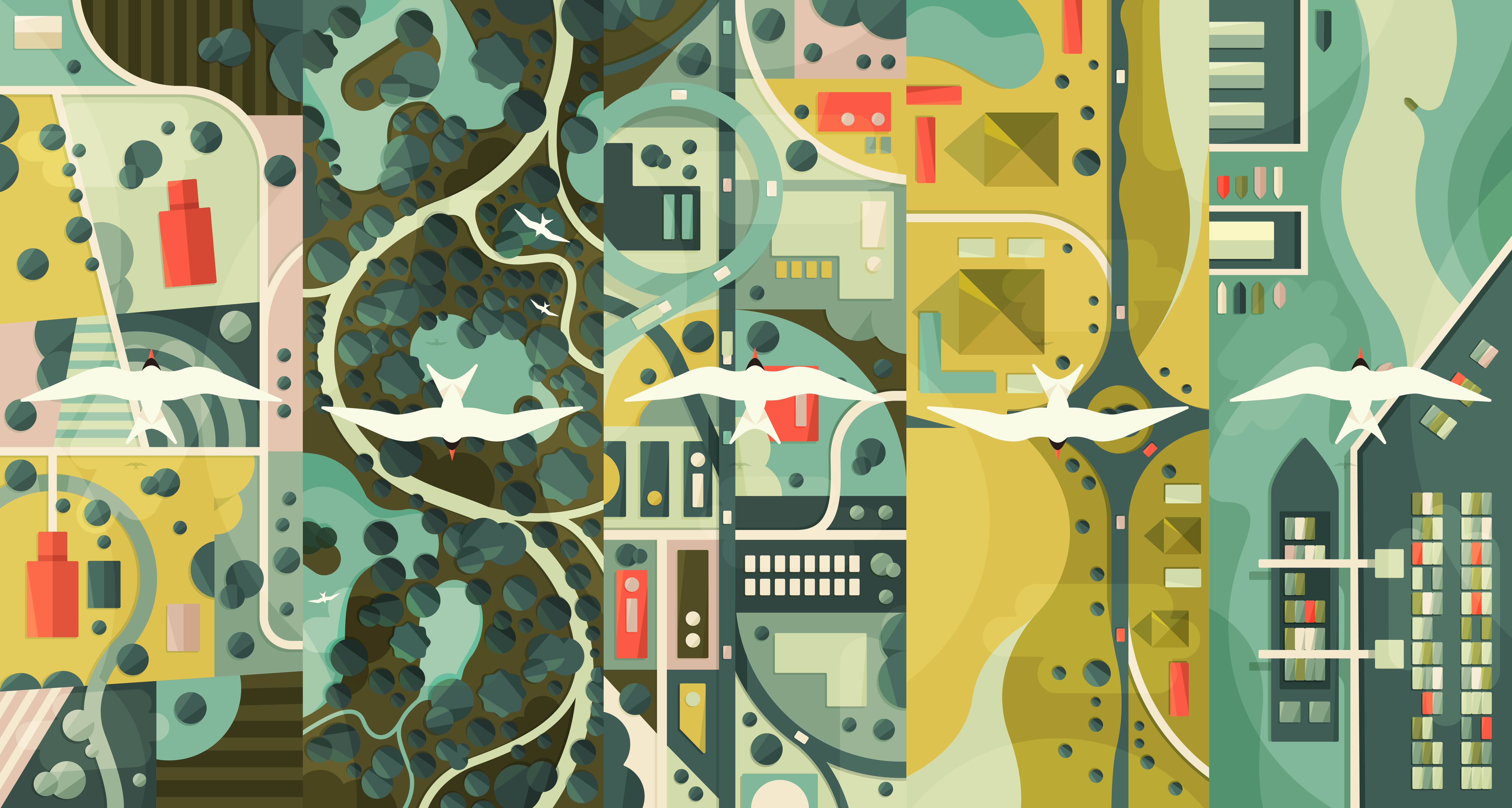 05 Aerial View - Arctic Terns - websiteV3